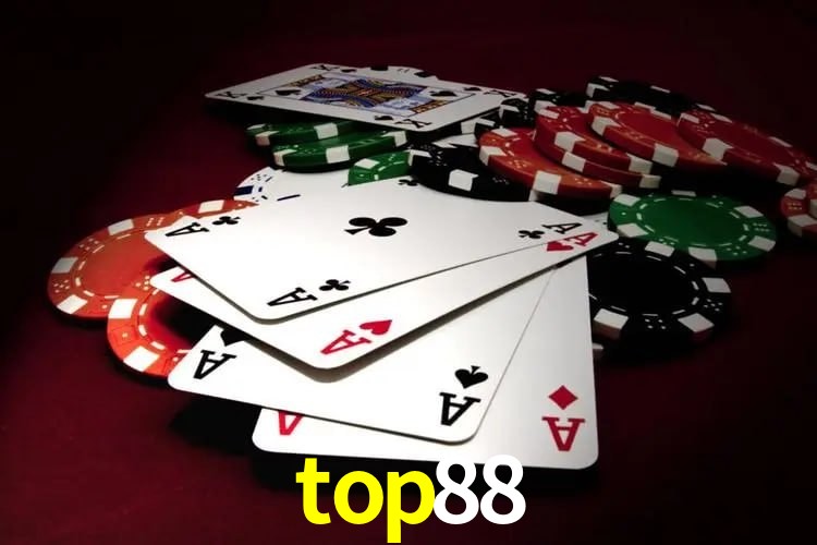 Experiência VIP top88